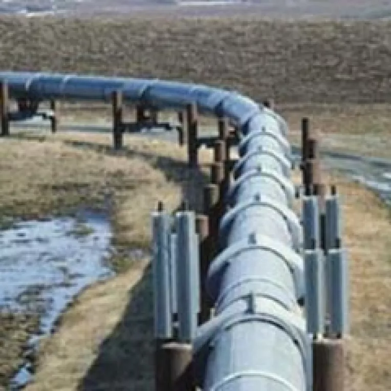 Pentru ca Bulgaria provoaca dificultati, 
Gazprom vrea participarea Romaniei in proiectul South Stream

