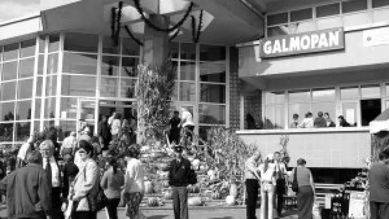 Peste putine zile incepe "Tirgul de toamna"