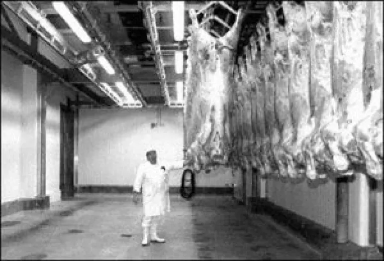 Porcii nostri, opriti la poarta UE