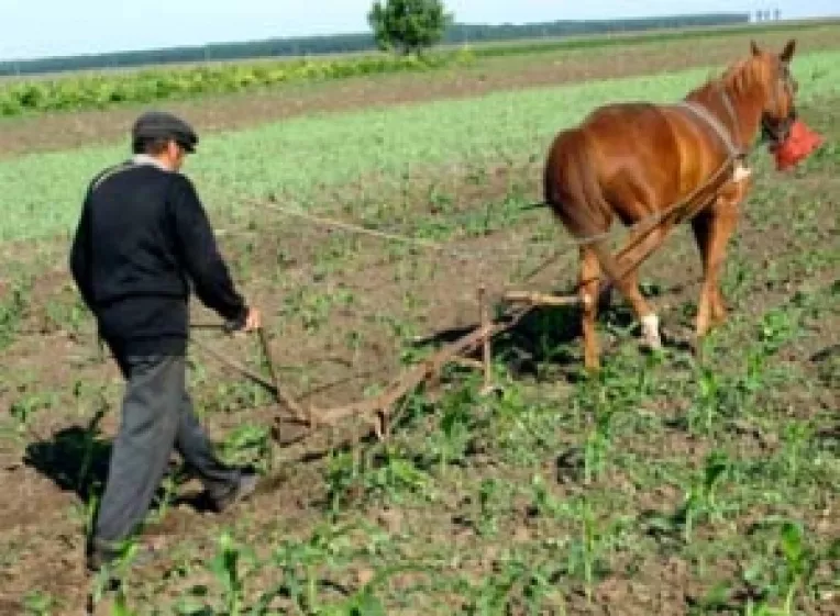 Prefinantare de 20% pentru agricultorii care acceseaza fonduri prin PNDR