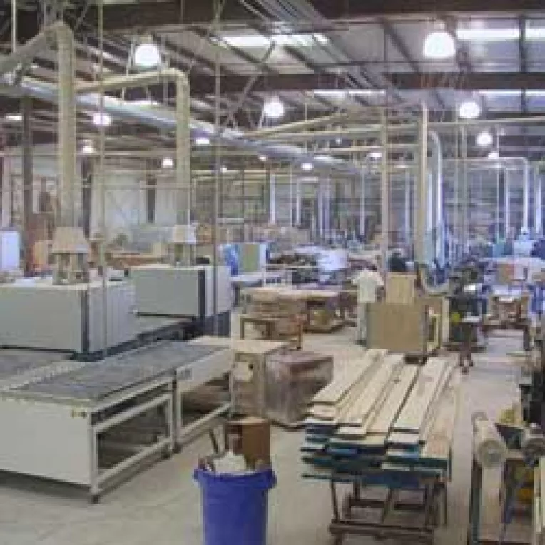 Prelucrarea lemnului si softwareul trag in sus economia romaneasca