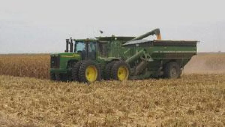 Preturile se scufunda. Autoritatile, spectatoare pe piata graului