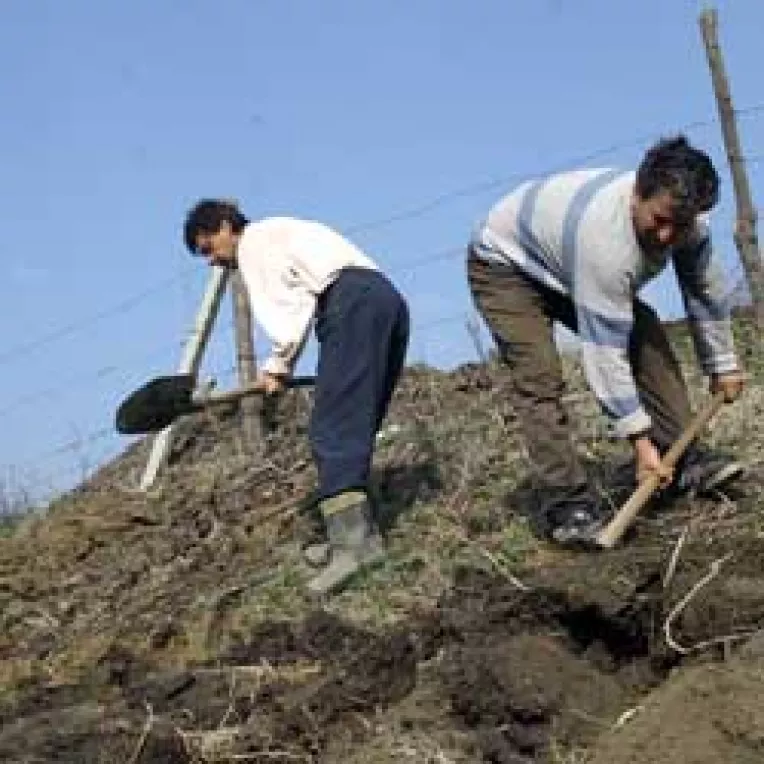 Preturile terenurilor agricole se vor inzeci