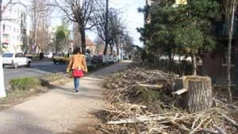 Primaria Craiova nu-si uita prima dragoste, o plateste!. Domarcons - SCT, duet de 15 milioane