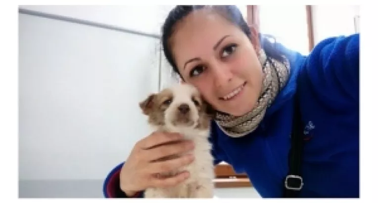 Primesti salariu lunar, daca ai grija de un caine de pe strada, pe timpul iernii