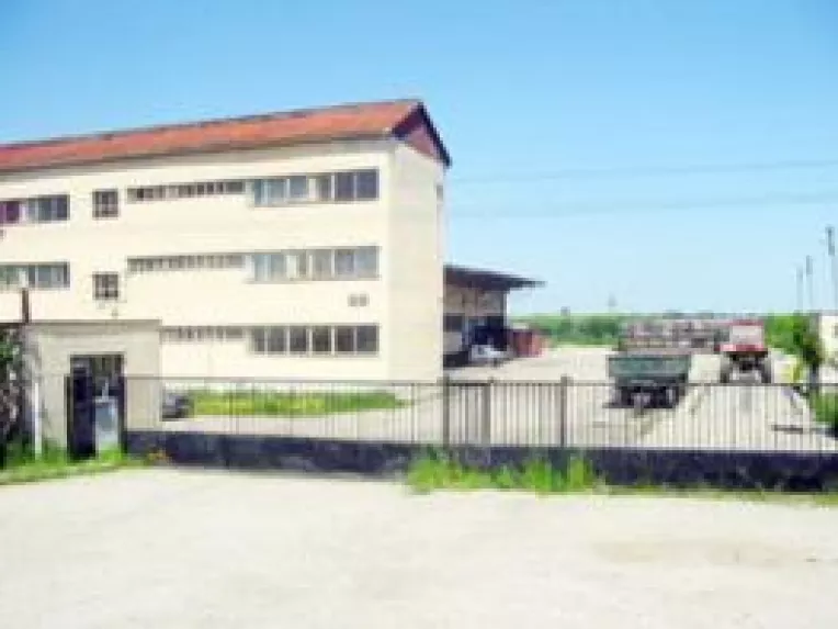 Privatizare pe bani mărunţi 