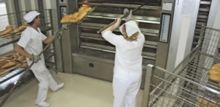 Producatorii de zahar, paine si biocombustibil vor beneficia de fonduri din  PNDR