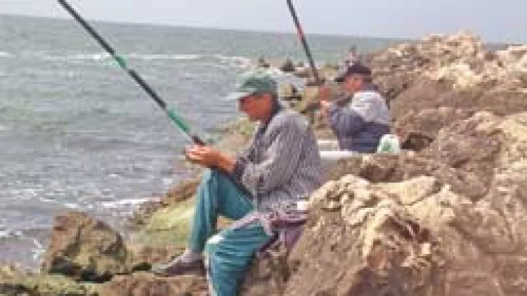 Prohibitie totala sau partiala pentru mai multe specii de pesti