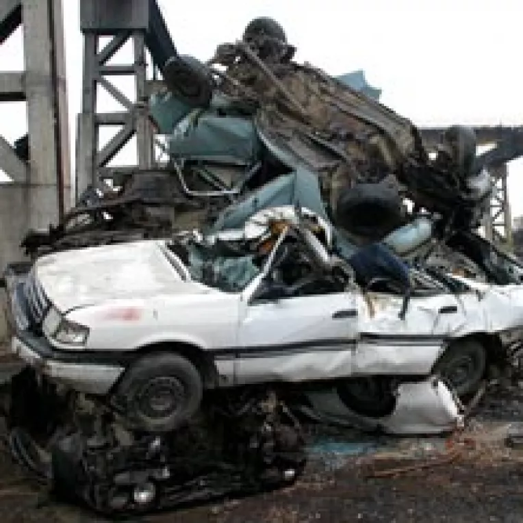 Proprietarii de rable au luat cu asalt REMAT-urile