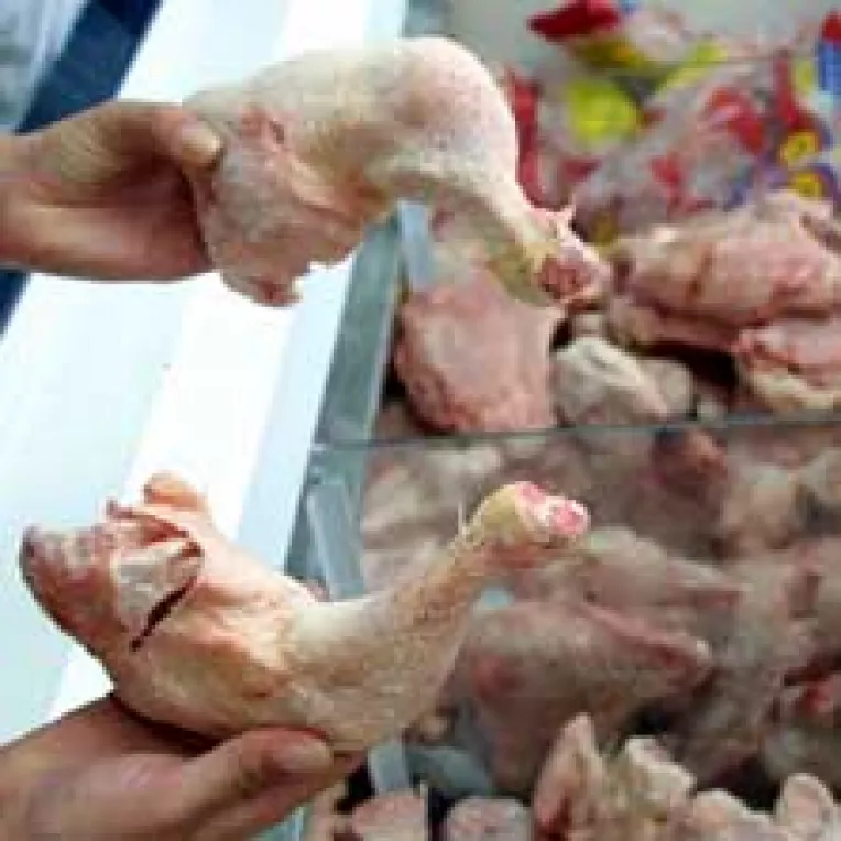 Puii americani la preturi de nimic pot scoate de pe piata producatorii romani