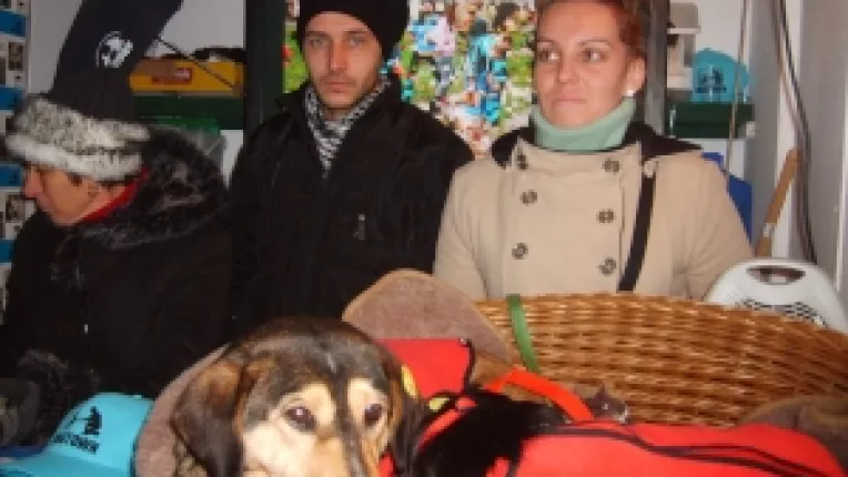 
Puteti adopta gratuit caini, la targul de la Universitate
