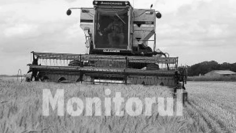 Recoltatul este in toi