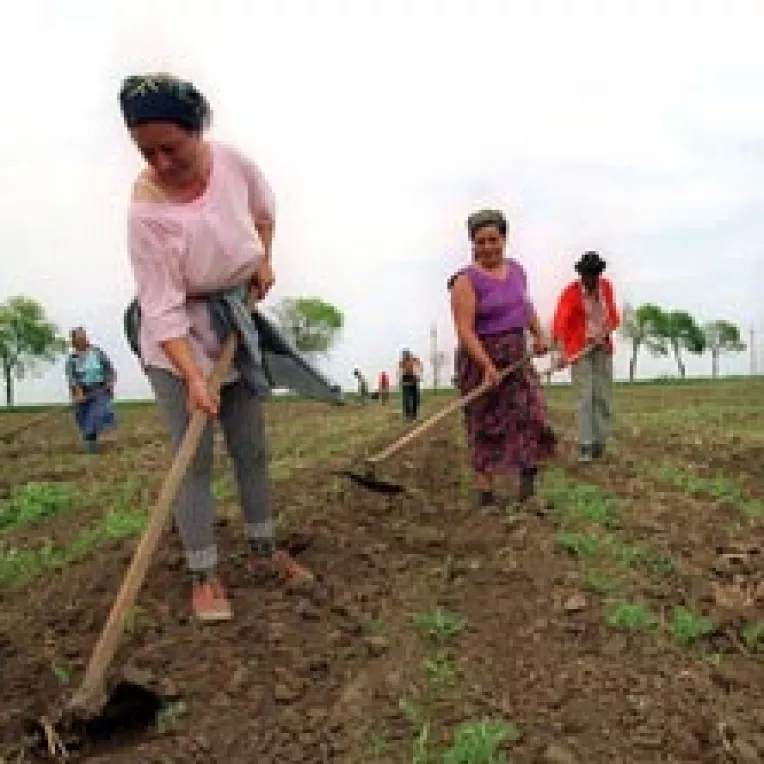 Renta viagera va ieftini terenurile agricole