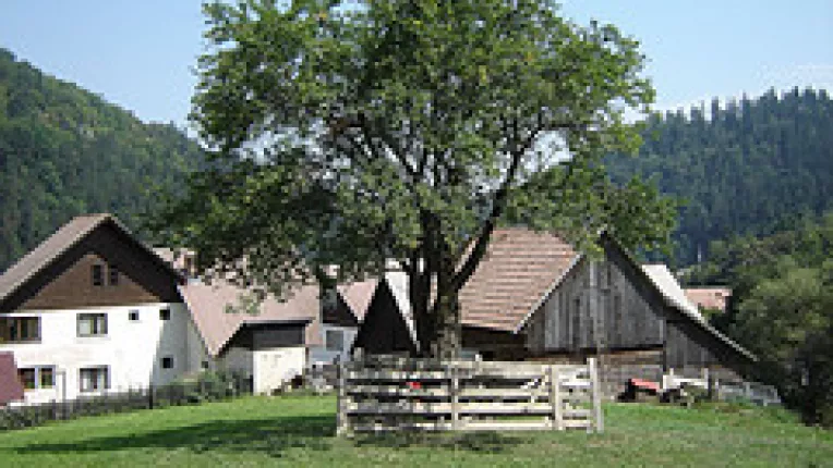 Revolta printre proprietarii de pensiuni