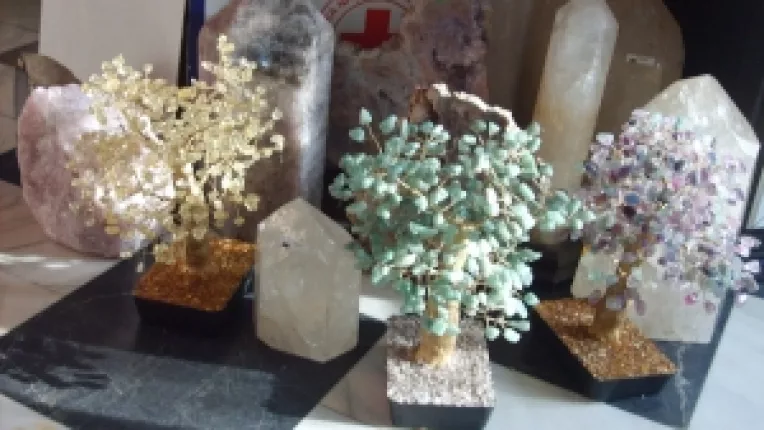 Rodica Florea: "Cuarturi mari si copaci din pietre!"

