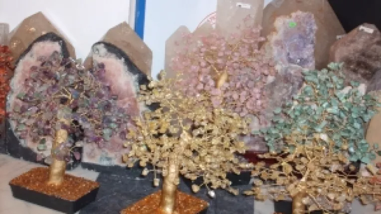 Rodica Florea: "Pom mare cu 1.500 de pietre de carneol!"