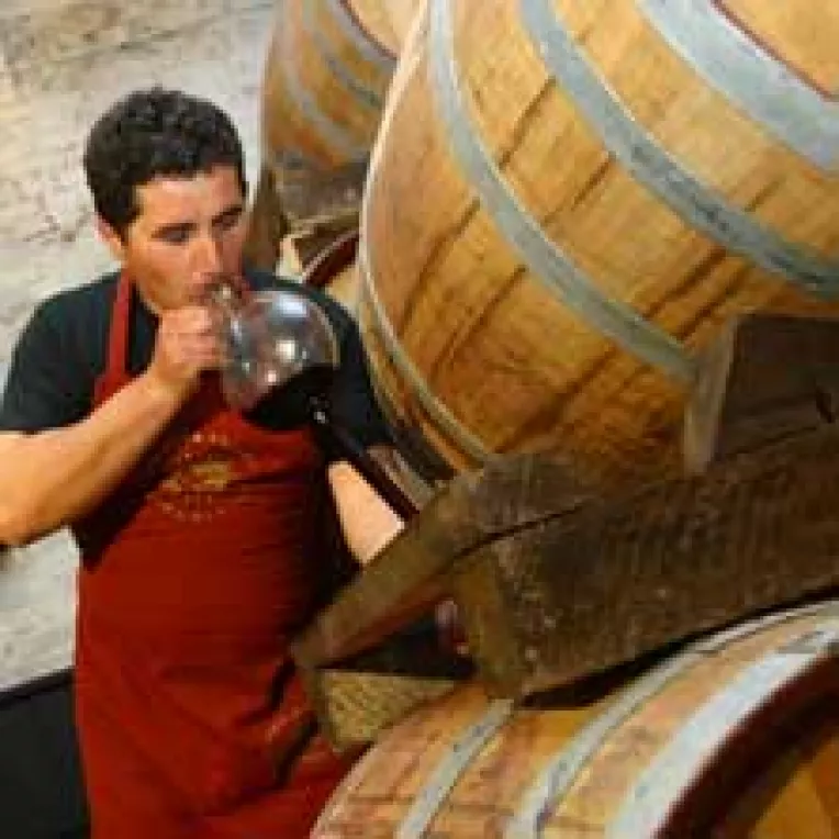 Romania nu poate produce vin cat are voie sa exporte