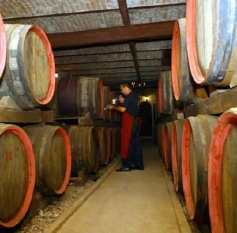 Romanii au consumat aproape 30 de milioane de litri de vin importat