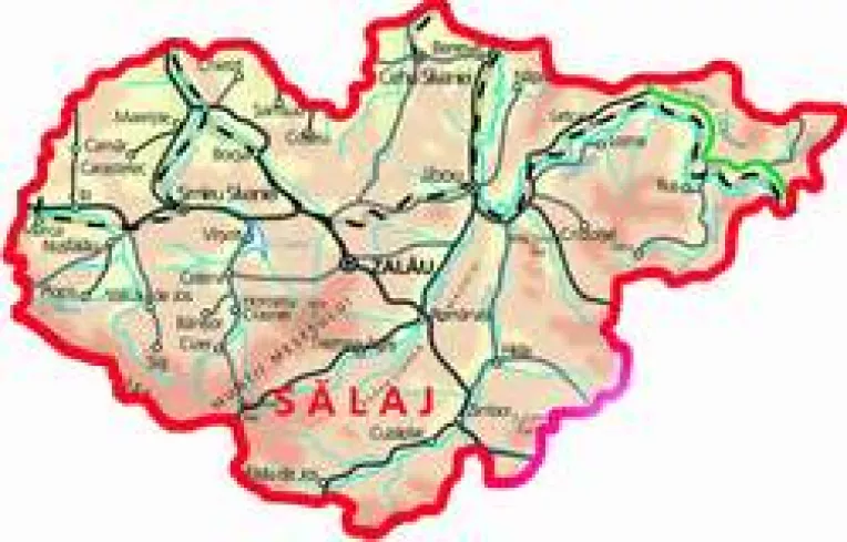 Salajul - buretele finantarilor externe