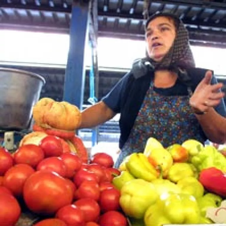 Salata de rosii nu mai are gust si costa mai mult