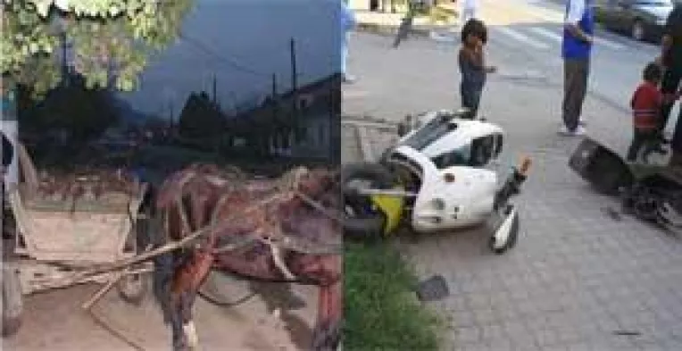 Scuterul si calul, trasi pe dreapta