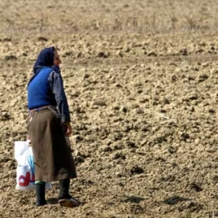 Seceta anuntata pentru acest an va afecta grav agricultura romA¢neasca