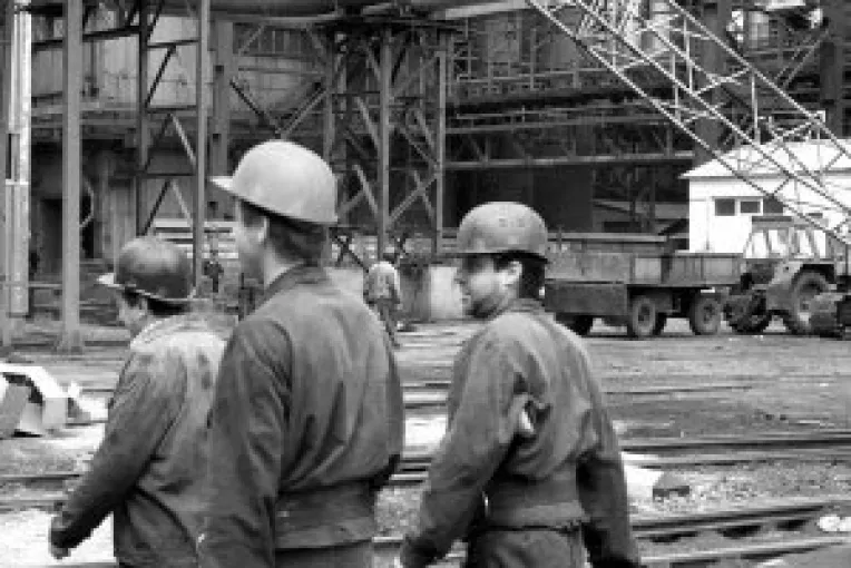 Sefii din Combinat, luati la intrebari