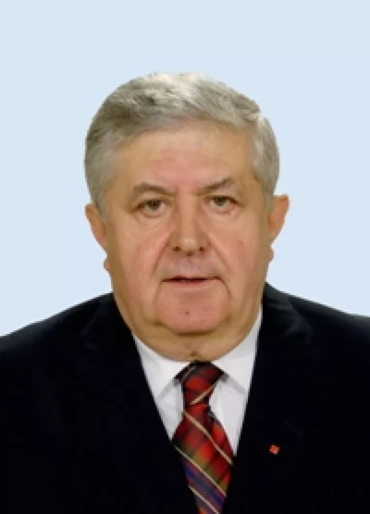 Senator Mirza: O alta formula de conducere a PSD, la Congresul extraordinar 
