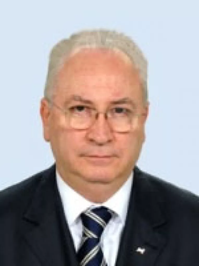 Senatorul Hasotti: "Basescu a ajuns presedinte prin frauda. Romania nu are Guvern"
