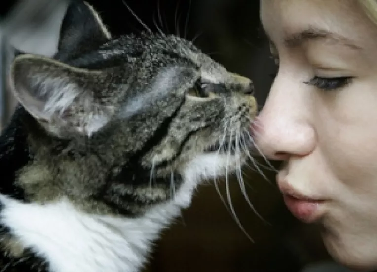 Sindromul obsesiv al atasamentului fata de pisici a ajuns si in Romania!