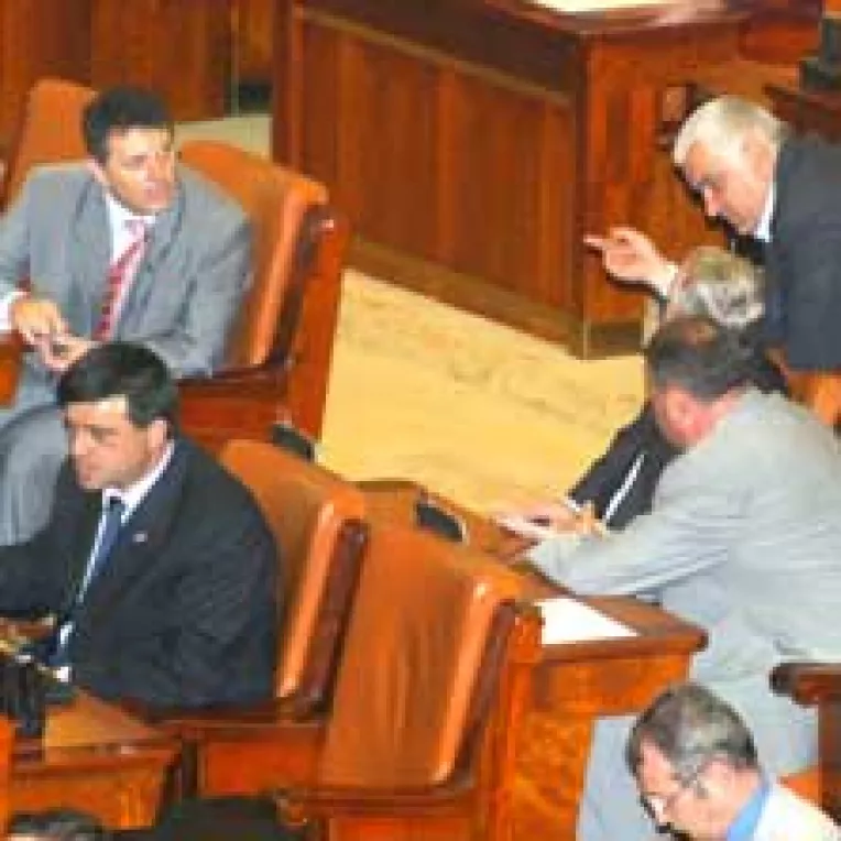 Societatea civila a numarat bubele alesilor