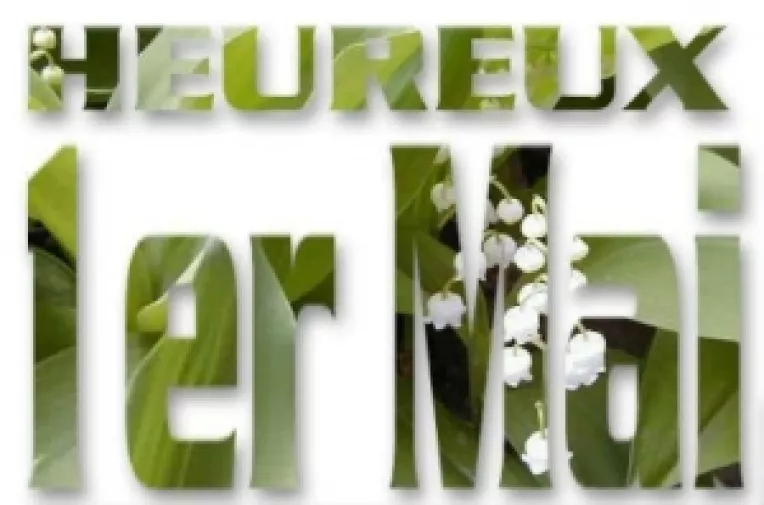 Sondaj IRES: Cum vad romanii semnificatia zilei de 1 Mai