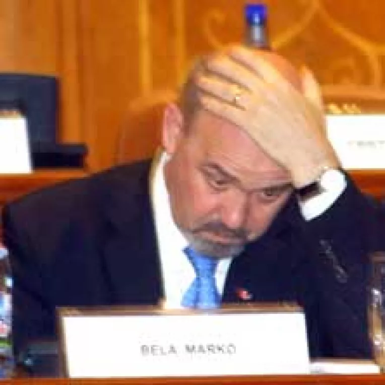 Statutul minoritatilor se amana dupa 15 martie