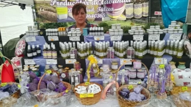 Steliana Dumitru din Daeni, judetul Tulcea: Suntem producatori de lavanda si flori la ghiveci!