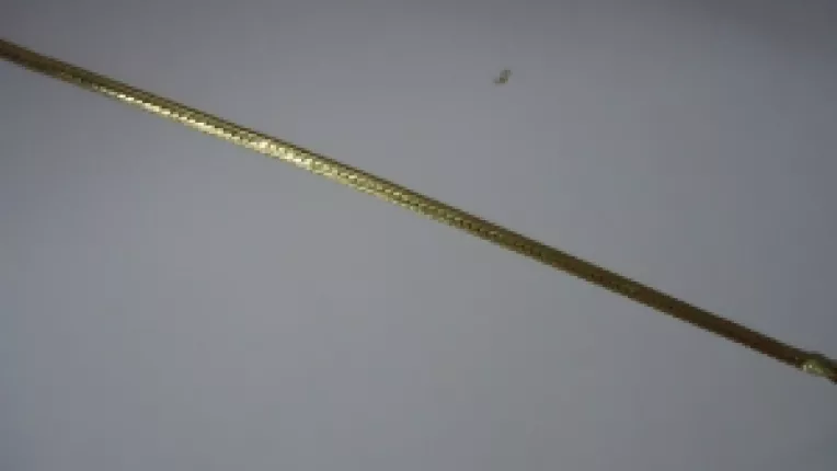 Steliana Plesea, mama lui Carmen Plesea, spera ca va fi prins hotul care i-a furat lantul de la gat