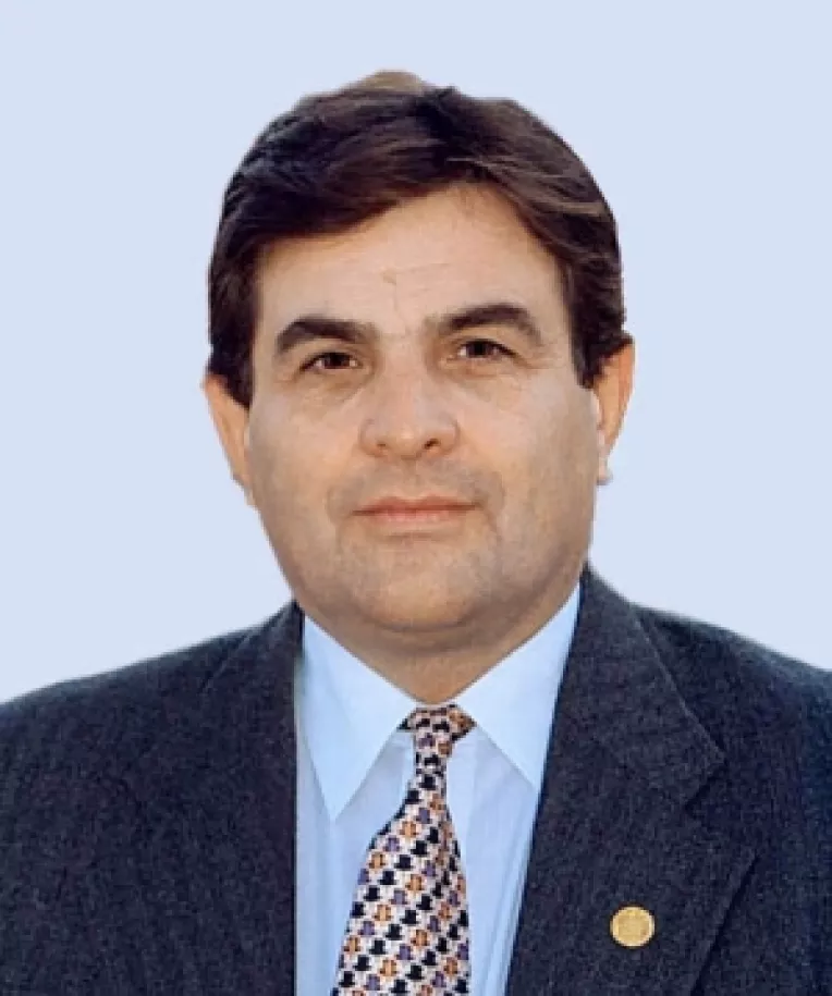 Stireanu: PSD din afara curtii