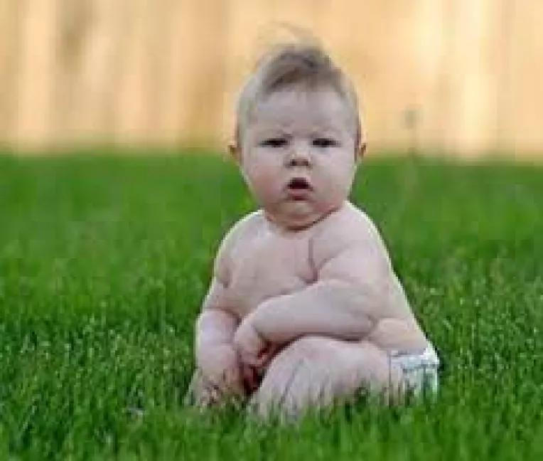 Studiu Duke University din Carolina de Nord (SUA): Praful din casa este cauza obezitatii la copii