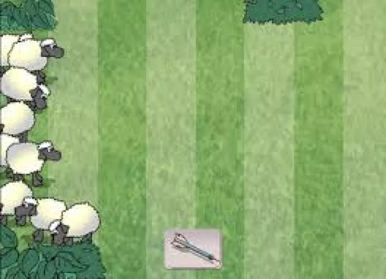 Studiu: Un test de reactii in perioada adulta poate prezice rata de supravietuire a unei persoane