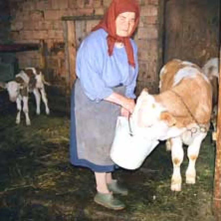 Subventiile agricole, o mare necunoscuta pentru tarani