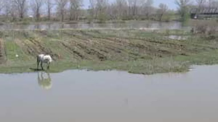 Tabacaria ne toarna crom pe gat cu stiinta institutiilor statului. Bomba ecologica la Bucovat