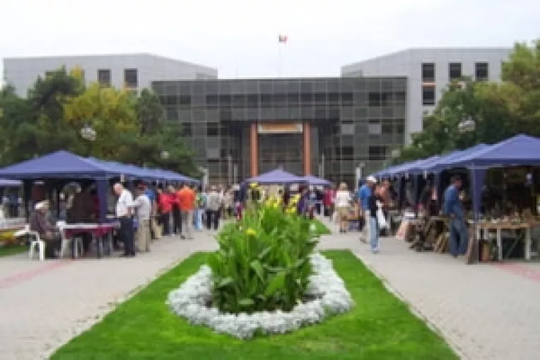 Targul Anticarilor in Parcul Obor din Bucuresti, in perioada 6 - 9 Septembrie 2018