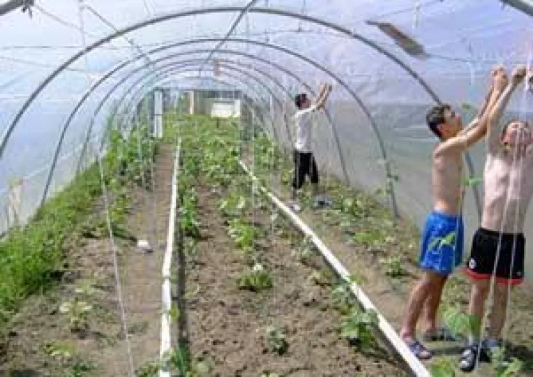 Terenul agricol, profit de maximum 10% pe an