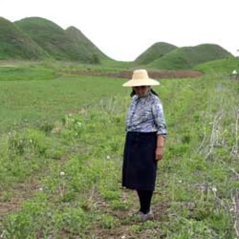 Terenurile si padurile se vor intoarce la proprietari pana in 2007