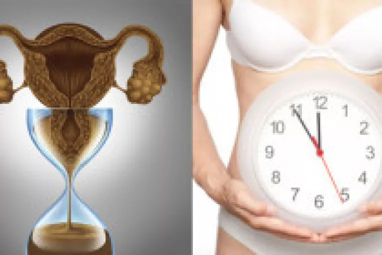 Testarea rezervelor ovariene nu poate prezice riscul de a concepe