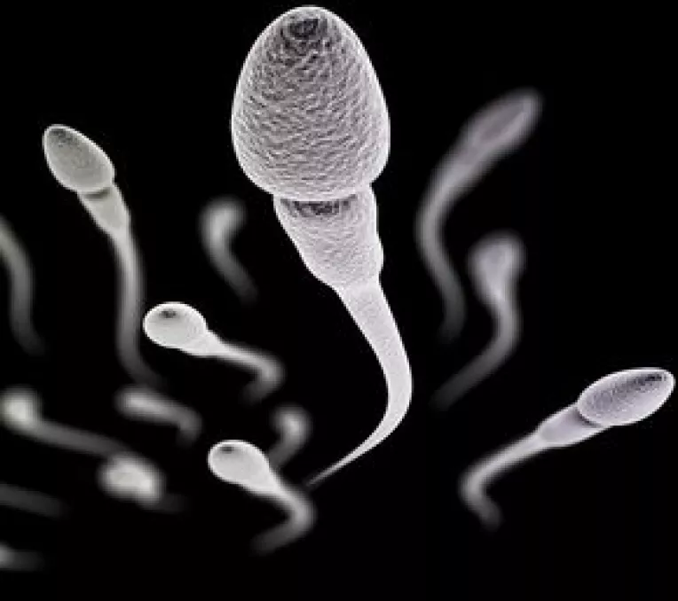 Testul calitatii spermei va putea fi facut in 2017 cu ajutorul unui dispozitiv atasat la smartphone