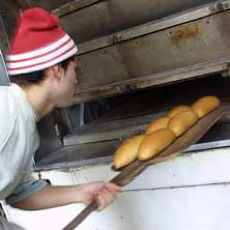 Timbrul pe paine sta in coada de peste