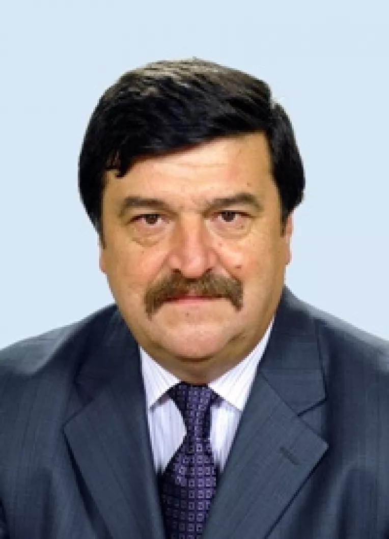 Toni Grebla, presedintele Comisiei Juridice din Senat: Asumarea raspunderii pe cele trei legi succesiv, dar in aceeasi zi,  este neconstitutionala