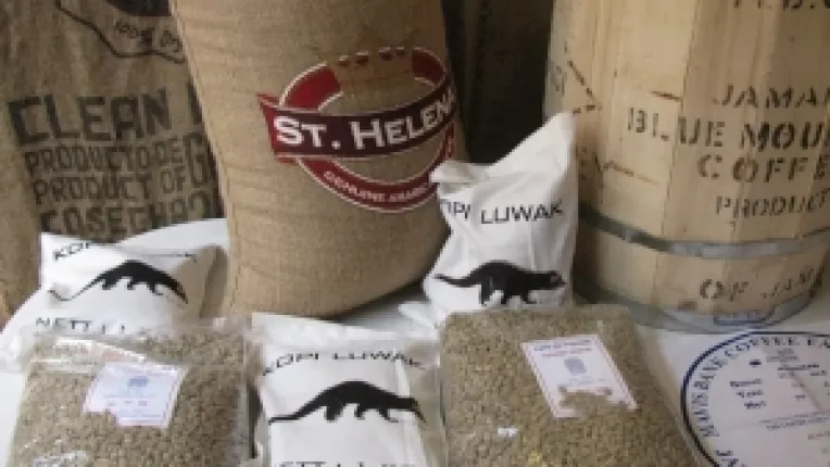 Top blogging: Gandurile scriitorului Stelian Tanase despre cafegiul daruit de Dumnezeu: GHEORGHE FLORESCU (2)