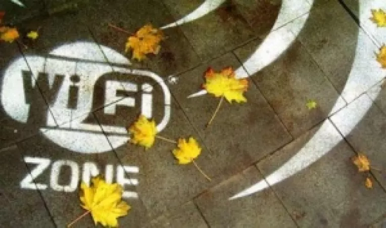 Top Secret : Efecte biologice si daune asupra sanatatii provocate de radiatii de microunde de mica frecventa (Wi-Fi)