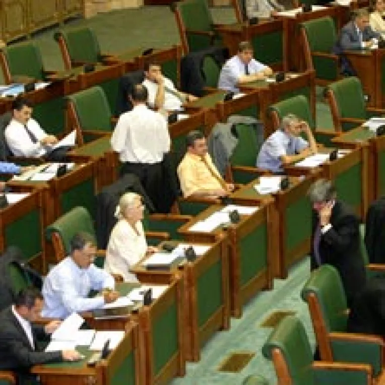 Transilvania-i fruncea!